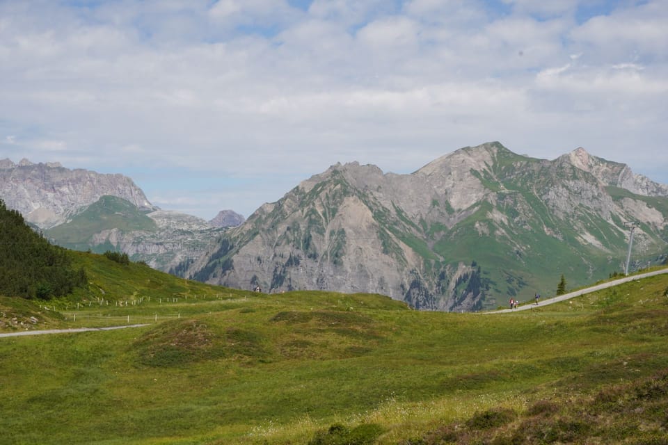 Grüne Almwiesen vor einer Bergkulisse